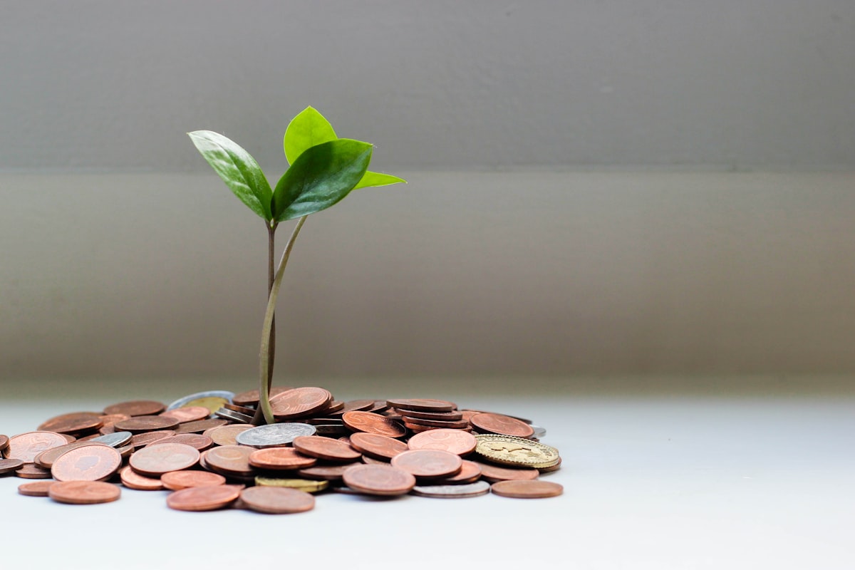 Budget review and financial planning tools